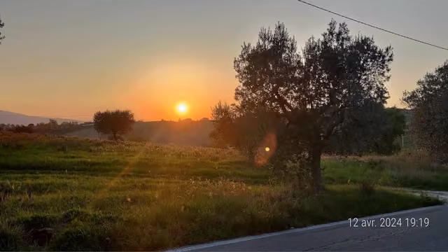 L'Appartamento Vigneto dell'Agriturismo Lu Feschiuole a Controguerra, con vista sui vigneti della Val Vibrata