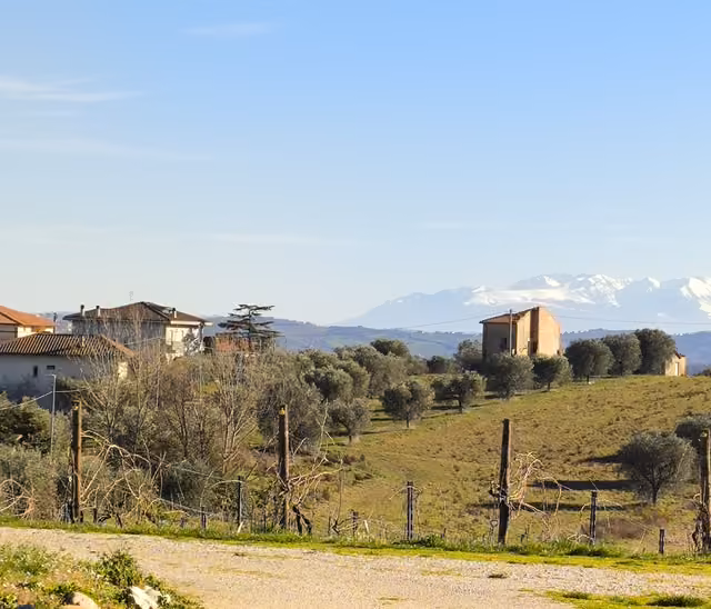Il Museo della Civiltà Contadina dell'agriturismo, con gli attrezzi del grano e del vino