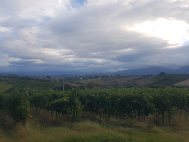 Il panorama sulle colline di Controguerra dall'Agriturismo Lu Feschiuole